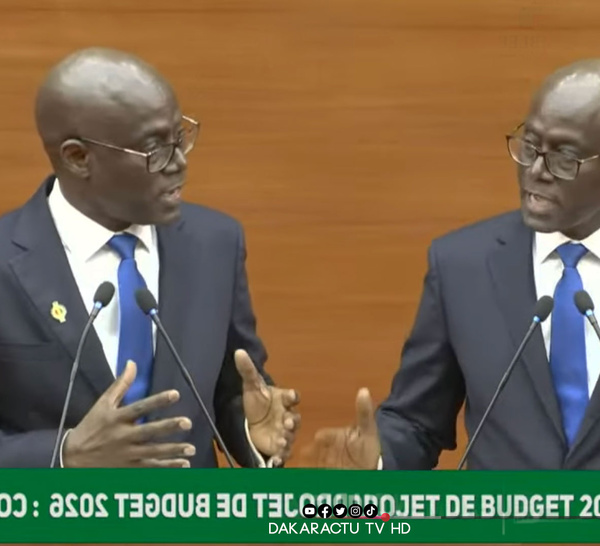 Thierno Alassane Sall au tandem : « L’heure est grave… les investisseurs sont inquiets à cause de vos considérations politiciennes »