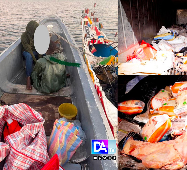 Contrebande maritime : 28 tonnes de cuisses de poulet estimées 57 millions francs CFA interceptés par la douane