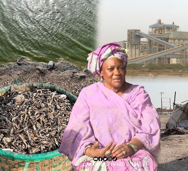 Bargny / Transformation de poisson : les femmes réclament justice et reconnaissance en ce 8 mars