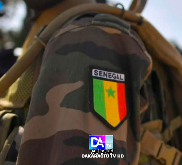Trois militaires tués dans une explosion lors d’opérations antidrogue à la frontière gambienne