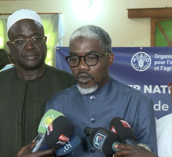 TOUBA- La FAO mise sur l’économie circulaire pour réduire le gaspillage alimentaire