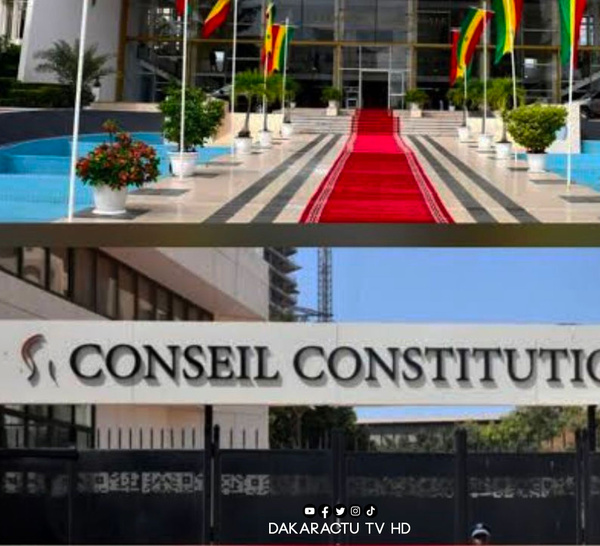 Adoption de la loi sur le CNRM : Le Conseil constitutionnel censure partiellement le texte