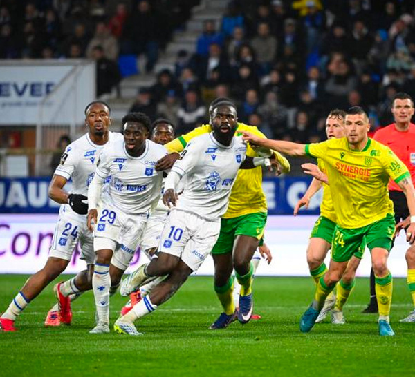 Ligue 1 : les résultats de la 29e journée