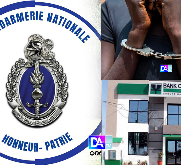 Escroquerie XXL à 48 millions FCFA : Comment « Aicha Plus » a trompé une banque avec de faux cachets de la Gendarmerie