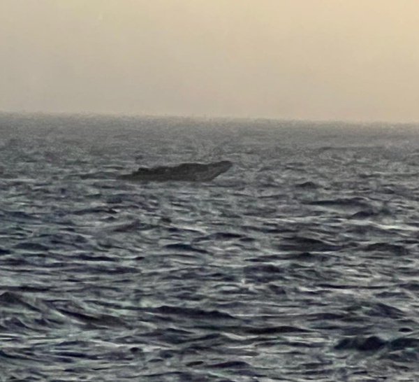 Émigration clandestine : la Marine nationale a secouru 132 migrants au large de Dakar