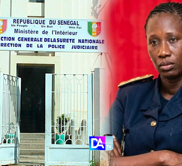 DIC : Mame Farma Ndiaye prend les commandes