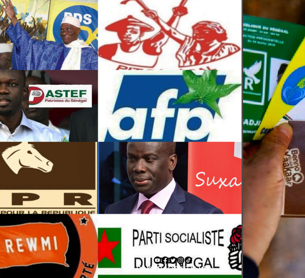 Révision constitutionnelle : Le Président de la République ne pourra plus diriger un parti politique