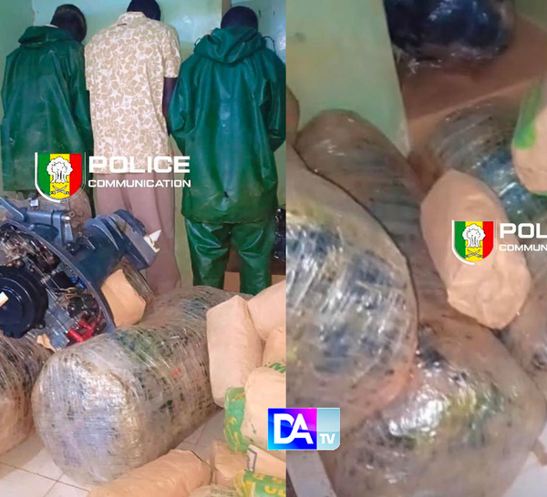 Rufisque/ Trafic de drogue par pirogue : près de 188 kg de chanvre indien saisis sur la plage, trois individus arrêtés