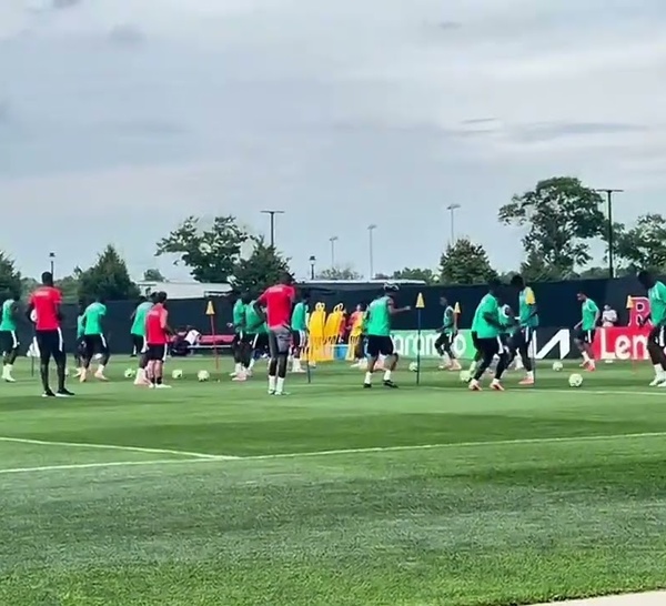 Séance d’entraînement des Lions avant le match contre la France : l’équipe en forme