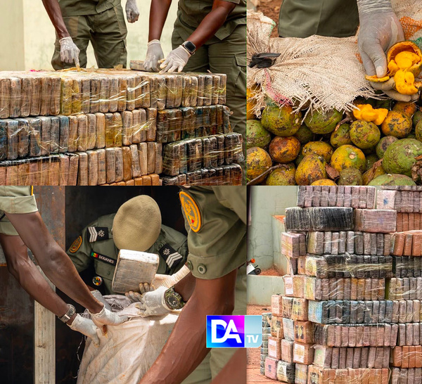 Trafic de drogue : La Brigade des Douanes de Koumpentoum saisit 970,6 kg de cocaïne pure évalués à 58 milliards CFA