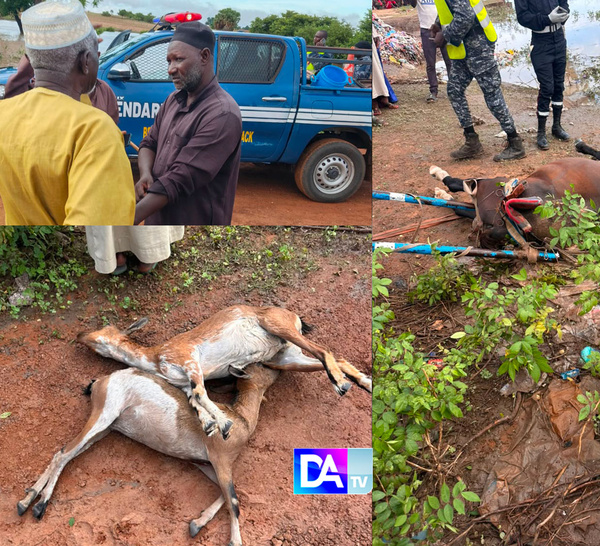 Fortes pluies à Latmingué : la victime perd aussi son cheval et ses chèvres (images)