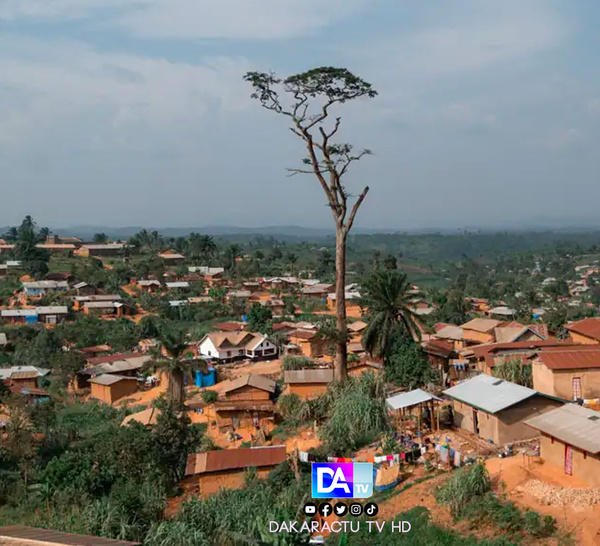 RDC: au moins 31 civils tués dans plusieurs attaques des ADF dans le Nord-Est