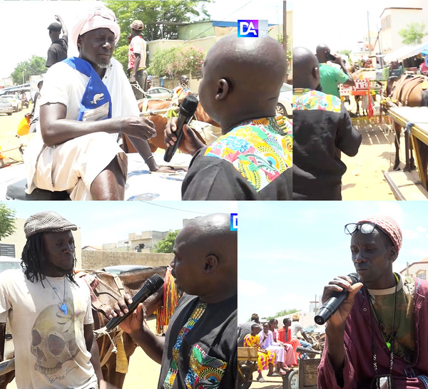 Grand Magal de Touba : entre embouteillages géants et foule immense, les charretiers tiennent la ville en mouvement