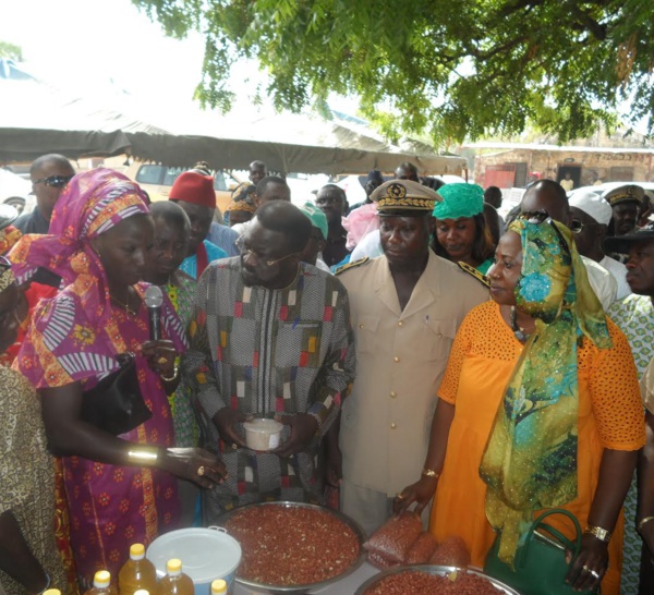 REPORTAGE/PAPE ABDOULAYE SECK DANS LE BASSIN ARACHIDIER - Ses mises au point, sa tirade contre les faux gros producteurs et la grogne de Diognick…