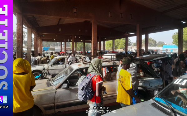 Thiès / Grève des chauffeurs Allo-Dakar : Entre irrégularité et tracasseries: les acteurs interpellent le président de la République