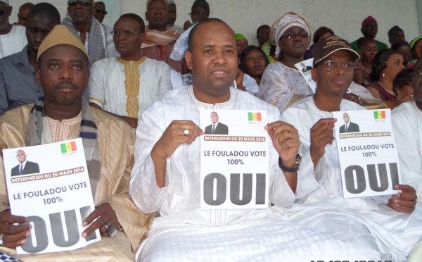 Référendum du 20 Mars 2016 : Kolda dit OUI au OUI