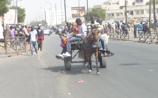 Pour une victoire du OUI, Racine Talla enrôle les charretiers de la banlieue