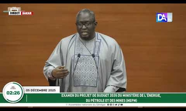 Énergie et combustibles domestiques : L’invite du député Ayib Daffé au ministre Birame Soulèye Diop