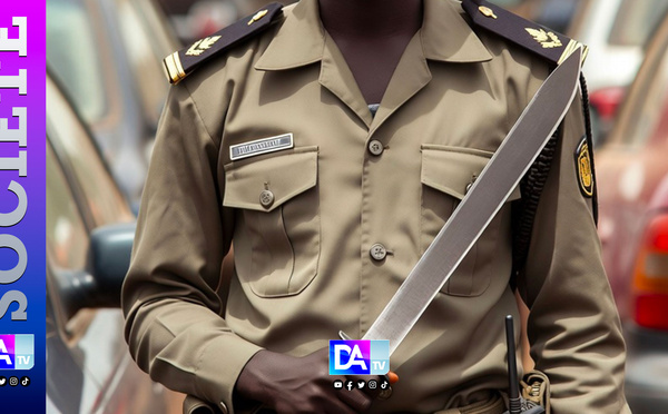 SÉDHIOU — Le Faux Douanier à la Machette : un mécanicien de 18 ans sème la terreur avant d’être arrêté