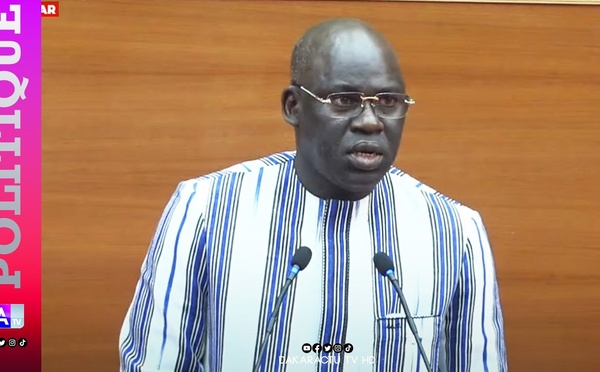 Assemblée nationale : Les interpellations du député Mbaye Dione au ministre Moussa Bala Fofana