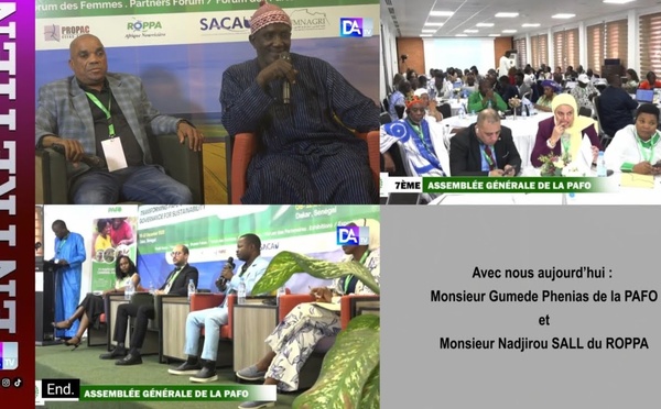 [Entretien croisé] Gumede Phenias et Nadjirou Sall : « L’Afrique doit reprendre le contrôle de son agriculture »