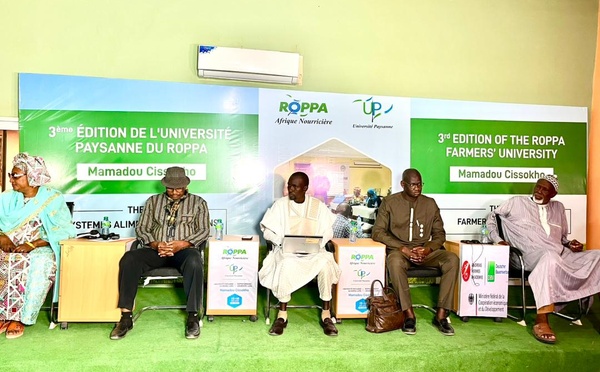 Afrique de l’Ouest: les organisations paysannes appellent à la reconnaissance officielle des systèmes alimentaires paysans comme socle des politiques agricoles et alimentaires