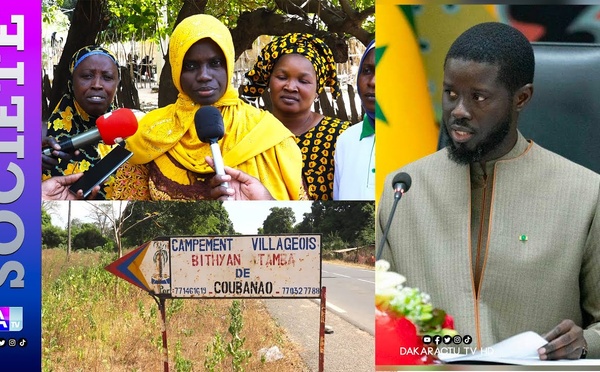 Casamance-Coubanao : les femmes interpellent l’État sur le financement de leurs projets...