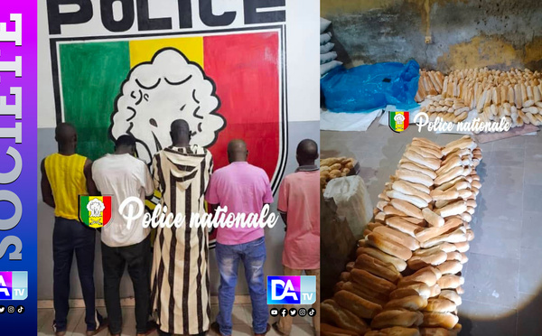 Boulangeries clandestines à Kaolack : cinq arrestations pour mise en danger de la vie d’autrui