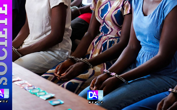 Pornographie « Made in Senegal » : 152 vidéos, des millions en jeu …plongée dans les dessous d’une filière clandestine démantelée par la gendarmerie