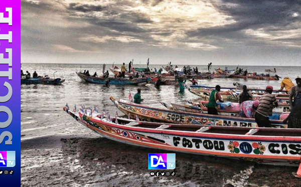 Guinée-Bissau : dix pirogues sénégalaises arraisonnées, la pêche illicite ravive les tensions
