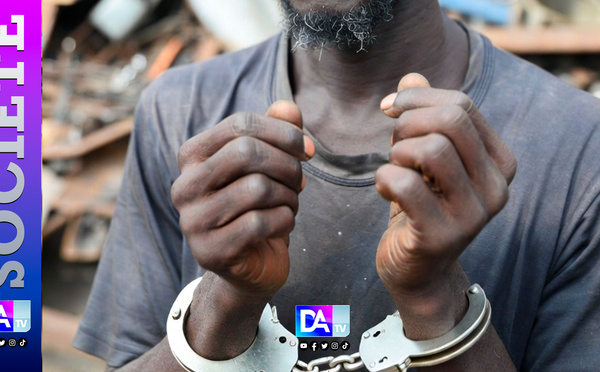 Mbour : il vide le garage d’un retraité et revend neuf véhicules comme ferraille, l’audace d’un père de famille jugée à Mbour