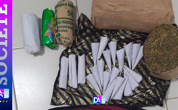 SÉDHIOU – Le potager de la surprise : un militaire découvre 45 sachets de chanvre dans son propre verger