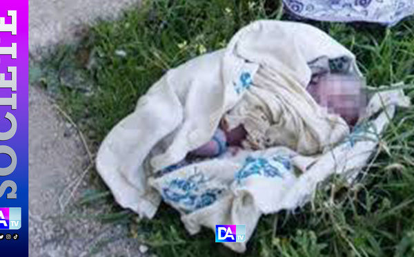 Horreur derrière le tribunal de Mbour : un nouveau-né retrouvé mort, jeté dans un sachet plastique