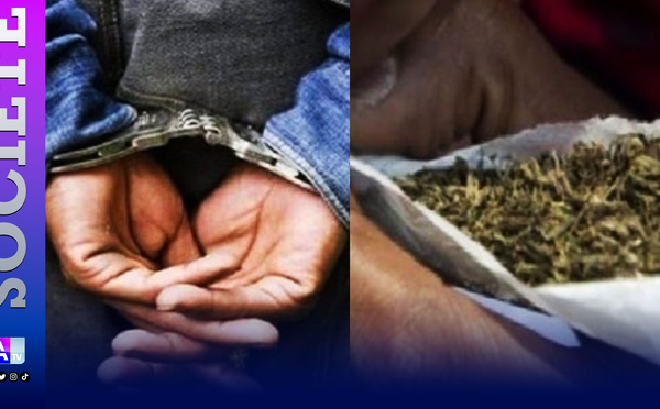 Trafic de drogue : la BRS de Dakar saisit 59 kg de chanvre indien à la Médina