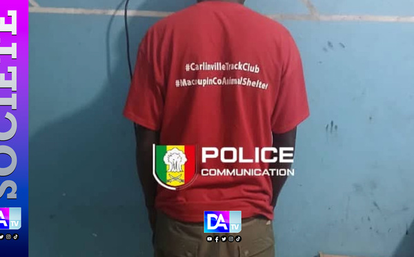 Thiès: interpellation d’un prédateur sexuel et saisie de drogues de synthèse par le Commissariat du 1er Arrondissement de Thiès