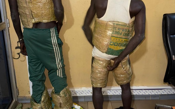 Trafic de drogue et de médicaments : 70 millions FCFA de produits prohibés saisis par les douanes en une semaine