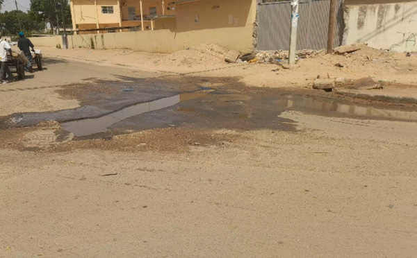 [ Images] Célébration du 4 avril à Thiès : l'état défectueux des routes, une préoccupation majeure 