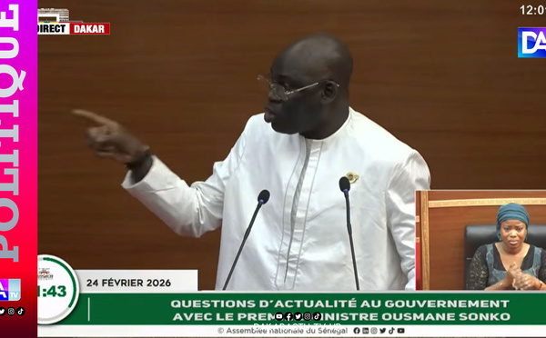 Questions d'actualité : Mbaye Dione interpelle le PM Ousmane Sonko sur la stratégie d'investissement du gouvernement