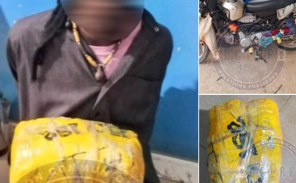 Lutte contre la drogue : un individu arrêté à Diannah Malary avec 2 kg de chanvre indien