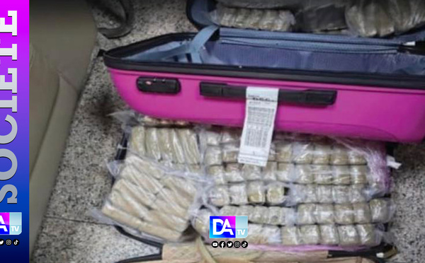 AIBD : 289 plaques de haschich saisies, la mule française et son contact sénégalais tombent au parking