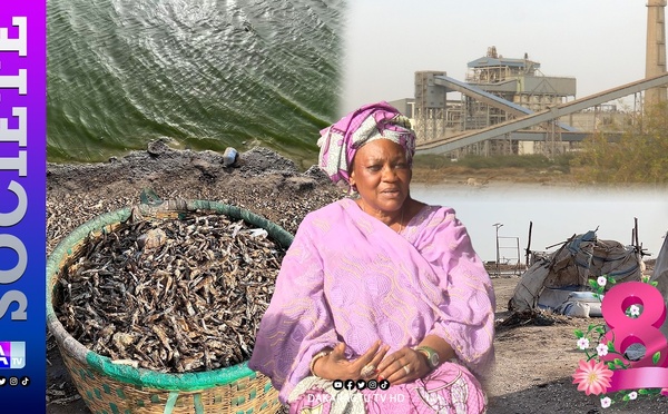 Bargny / Transformation de poisson : les femmes réclament justice et reconnaissance en ce 8 mars