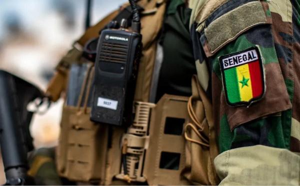 Casamance : un militaire tué et six blessés lors d’une opération de destruction de champs de chanvre indien
