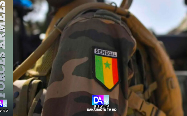 Trois militaires tués dans une explosion lors d’opérations antidrogue à la frontière gambienne