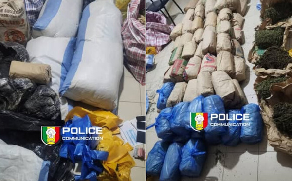 Niacoulrab : 108 kg de chanvre indien saisis, un réseau de narcotrafic démantelé