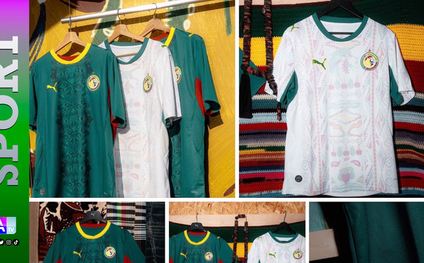 Une étoile au lieu de deux : La polémique du maillot des Lions enflamme la toile