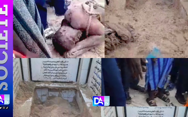 Saint-Louis : profanation de tombe, entre choc collectif et drame psychiatrique