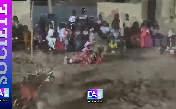 Quand le spectacle vire au drame : Un « Faux lion » exécute une acrobatie, se rate et meurt en se brisant le cou à Dagana