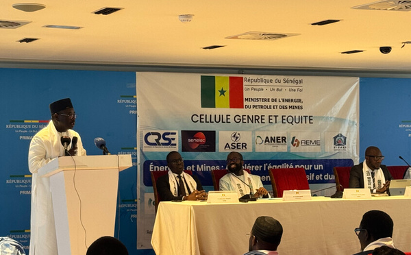 Energie, Pétrole et Mines : Birame Soulèye Diop plaide pour une inclusion effective des femmes dans les secteurs stratég