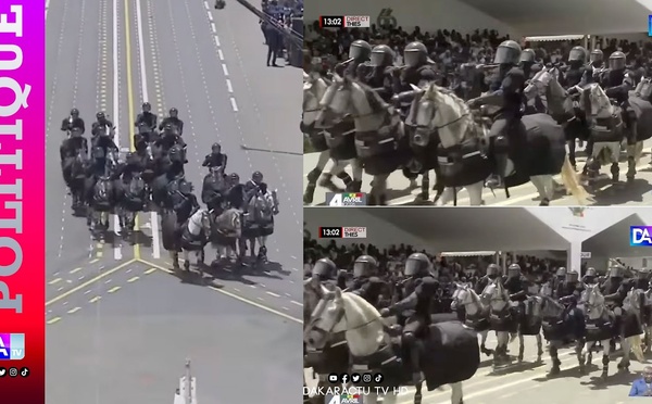 Thiès : passage de la caravane montée de la gendarmerie nationale avec 105 chevaux 