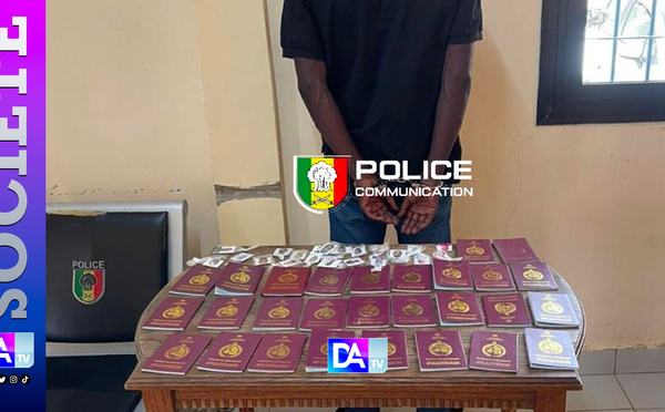 Saly : faux agent d’Air Sénégal, 30 millions envolés — fin de cavale pour un escroc au visa